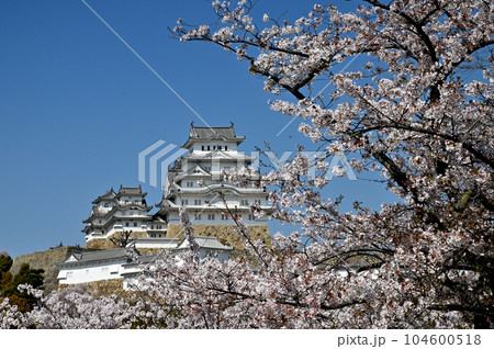 姫路城と桜 104600518