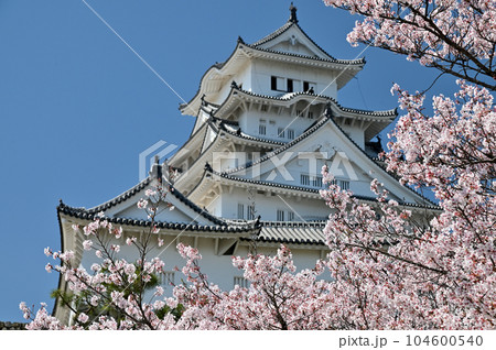 姫路城と桜 104600540