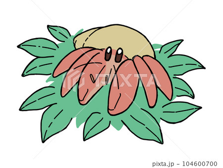 ガジュマルの葉っぱに乗るヤドカリ 104600700