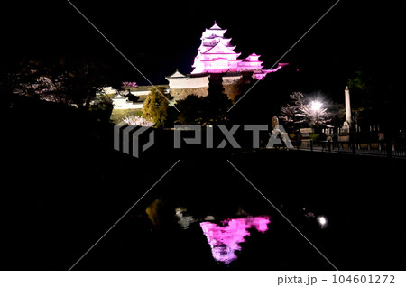 姫路城のライトアップと桜 104601272