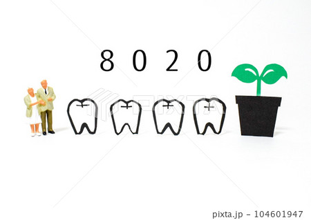 8020運動のイメージ 104601947