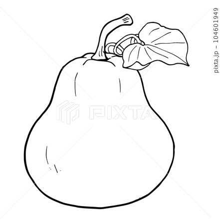 線画　シンプルイラスト　かんぴょう 104601949