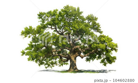 Majestic oak tree watercolor illustration - Generative AI. 104602880