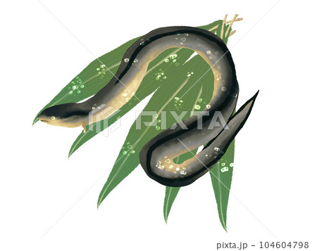 挨拶状やメニュー表の挿絵としても使えるウナギの和風イラスト 104604798