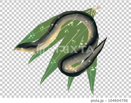 挨拶状やメニュー表の挿絵としても使えるウナギの和風イラスト 104604798