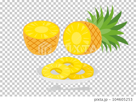 A set of pineapple illustrations on a plate_3 104605253