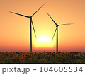 Wind turbines in a field of sunflowers at sunset 104605534