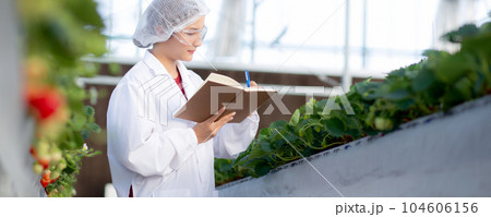 Young asian woman check cultivation strawberry with happiness for research and writing notebook. Young asian woman check cultivation strawberry with happiness for research and writing notebook. 104606156