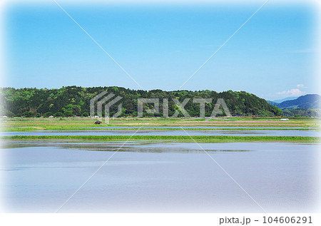 水田の代掻き風景(イラスト風) 水田の代掻き風景(イラスト風) 104606291