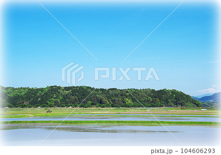 水田の代掻き風景（イラスト風） 104606293