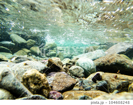 Under Water in the River(綺麗な川の水中風景) Under Water in the River(綺麗な川の水中風景) 104608248