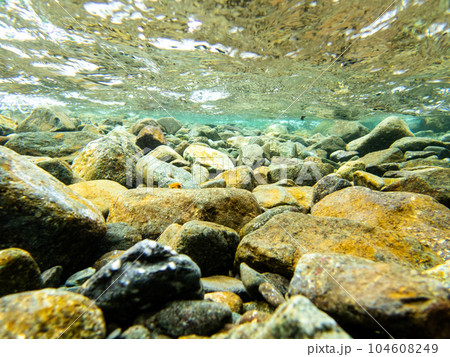 Under Water in the River（綺麗な川の水中風景）の写真素材