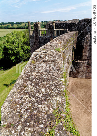 Raglan Castle in Summer, Raglan, Monmouthshire, South Wales, UK 104609708