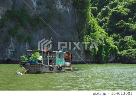 ベトナム カットバ島の民間船 ベトナム カットバ島の民間船 104613003