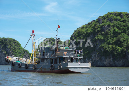 ベトナム　カットバ島　ハロン湾の漁船 104613004