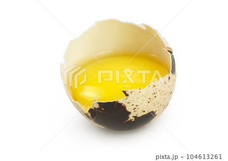 Raw quail egg isolated on white background with full depth of field 104613261