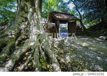 中山道赤坂宿　お茶屋屋敷跡の景色 104613292