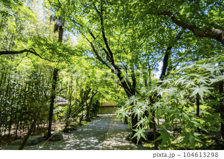 中山道赤坂宿 お茶屋屋敷跡の景色 中山道赤坂宿 お茶屋屋敷跡の景色 104613298