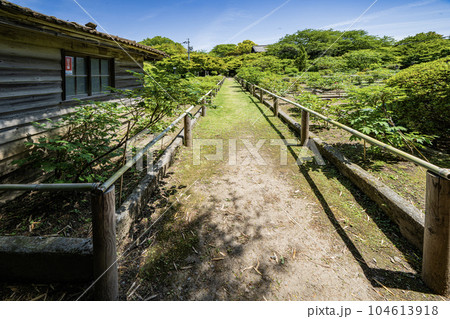 中山道赤坂宿 お茶屋屋敷跡の景色 中山道赤坂宿 お茶屋屋敷跡の景色 104613918