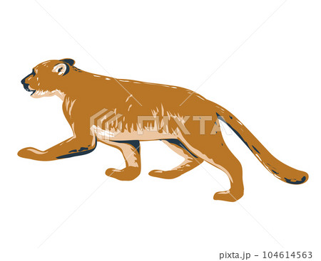 Cougar Prowling Side View WPA Poster Art 104614563