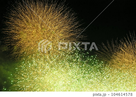 足立の花火・荒川河川敷【東京都足立区】 足立の花火・荒川河川敷【東京都足立区】 104614578