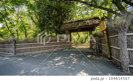 お茶屋屋敷跡　中山道赤坂宿の景色 104614587
