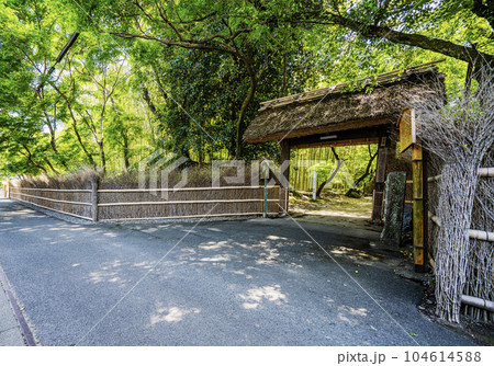 お茶屋屋敷跡　中山道赤坂宿の景色 104614588