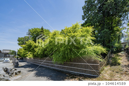 お茶屋屋敷跡　中山道赤坂宿の景色 104614589