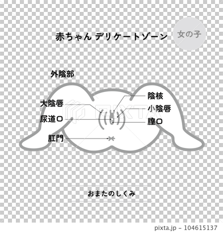 Baby's delicate zone: Omata girl (monochrome/with explanatory image) 104615137