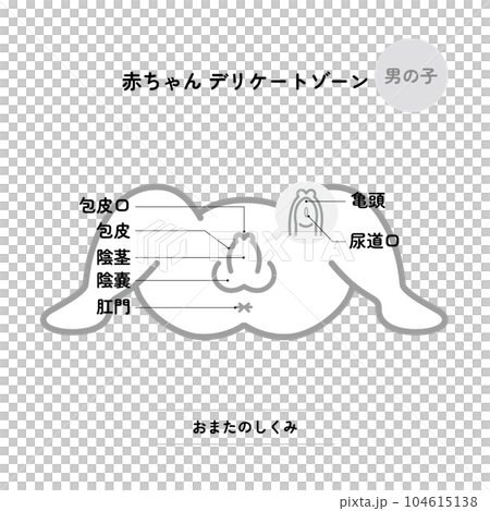 赤ちゃんデリケートゾーン：おまた 男の子（モノクロ/説明イメージ付き） 104615138