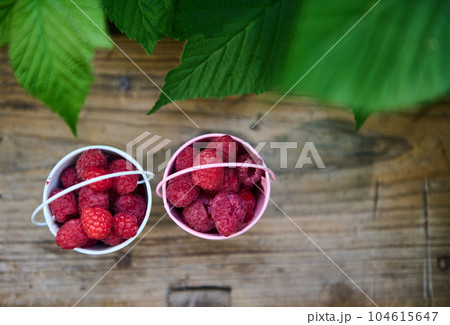 Still life. Directly above two small buckets with raspberries on a wooden stool against a raspberry bush background 104615647