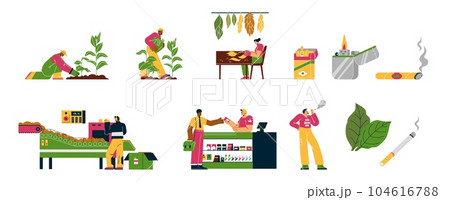 Set of people working at tobacco industry flat style, vector illustration Set of people working at tobacco industry flat style, vector illustration 104616788