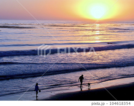 アメリカ　カリフォルニア　モントレー　夕焼け　渚　散歩する人影 104618354