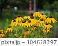 Cheoninguk 104618397