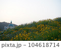 Jindo scenery 104618714