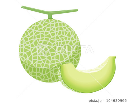 メロンのベクターイラスト 104620966