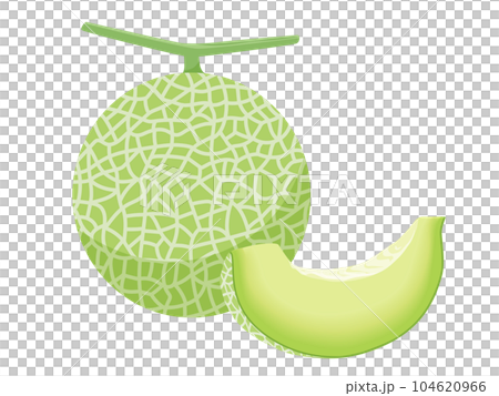 Vector illustration of melon 104620966