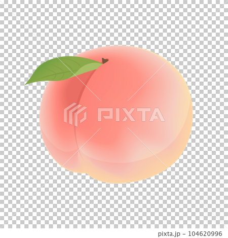 桃のベクターイラスト 桃のベクターイラスト 104620996