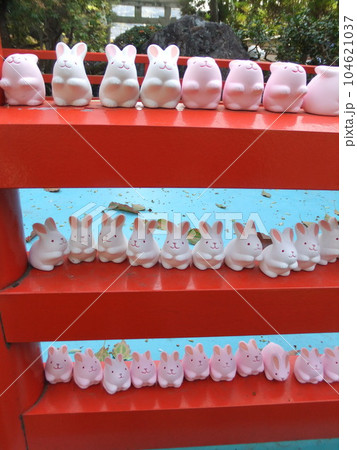 岡崎神社のうさぎみくじ 岡崎神社のうさぎみくじ 104621037