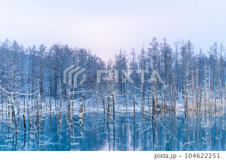 [北海道の冬］雪の積もった青い池 104622251