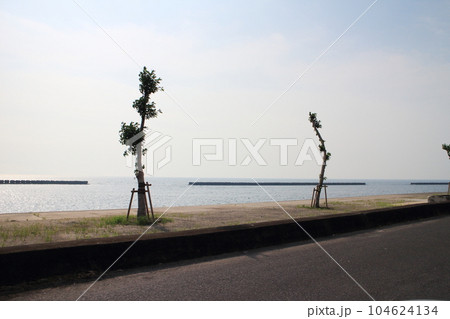 大隅の西海岸の風景 104624134
