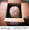 New Brain In The Box 104627887