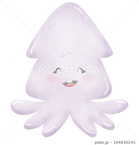 Squid Squid 104630243