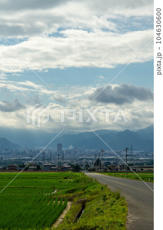 田んぼと山形市街 104630600