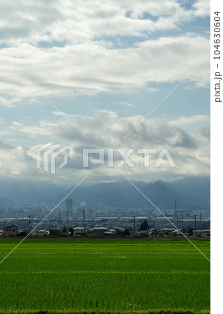 田んぼと山形市街 104630604