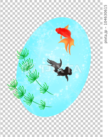 Goldfish swimming elegantly Summer greeting card 104630615