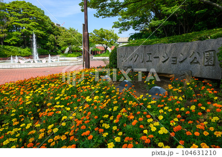 江戸川区総合レクリエーション公園 江戸川区総合レクリエーション公園 104631210