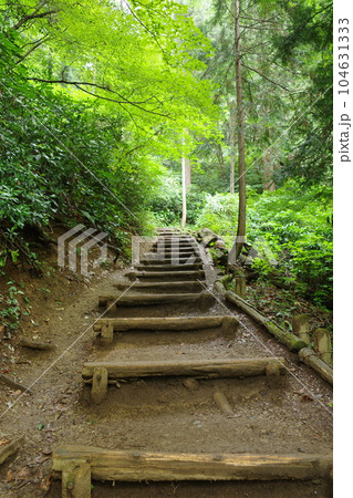 高尾山の4号路つり橋コースの登山道の様子 高尾山の4号路つり橋コースの登山道の様子 104631333