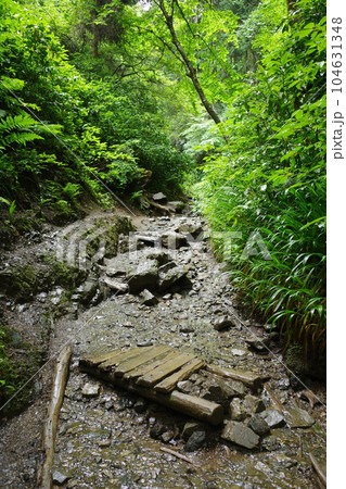 高尾山の6号路びわ滝コースの様子 高尾山の6号路びわ滝コースの様子 104631348