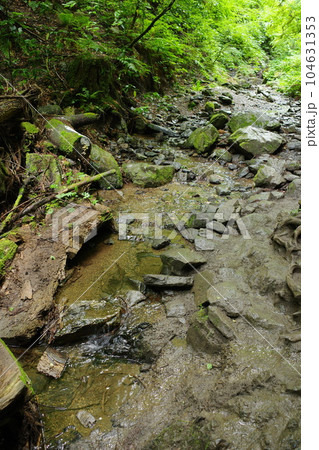 高尾山の6号路びわ滝コースの岩場の一部 高尾山の6号路びわ滝コースの岩場の一部 104631353